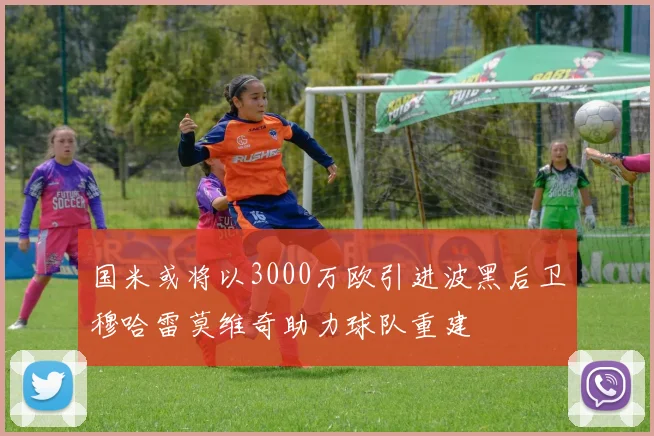 国米或将以3000万欧引进波黑后卫穆哈雷莫维奇助力球队重建