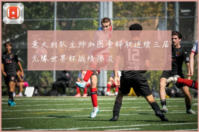 意大利队主帅加图索辞职连续三届无缘世界杯战绩惨淡